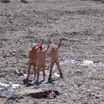 Streakers Unite